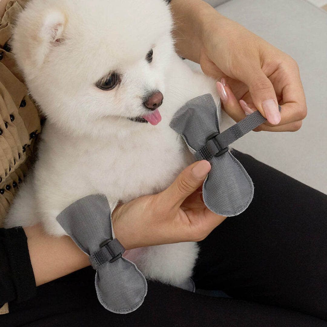 ※予約販売【Bailey】Walkie Shoes