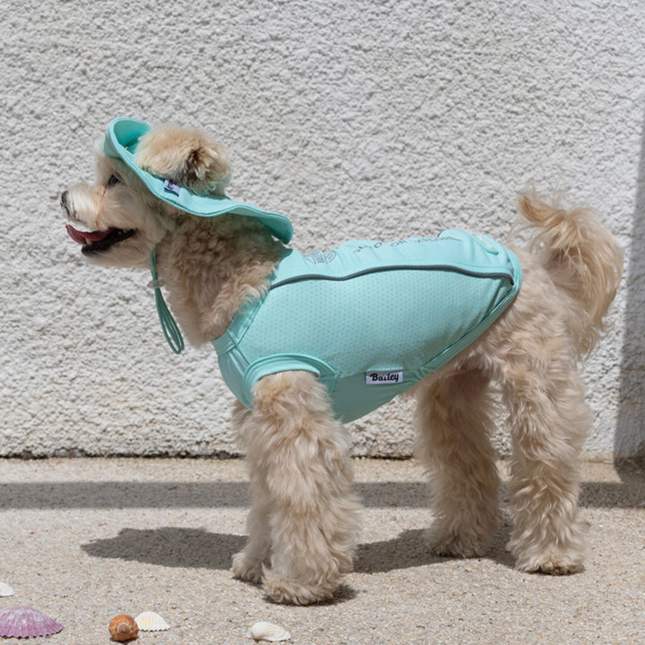 ※予約販売【Bailey】UV Cool Guard Sleveless（Mint）