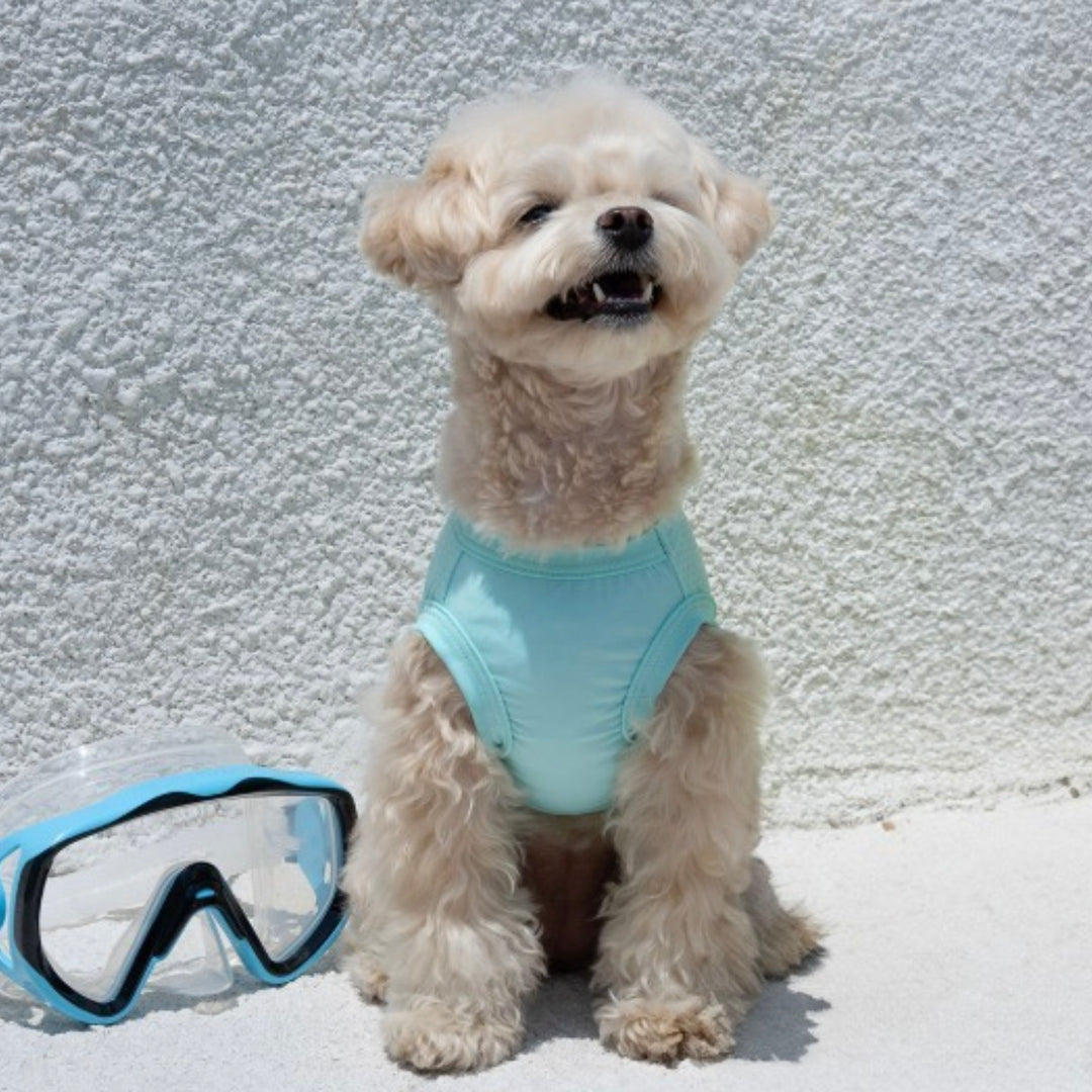 ※予約販売【Bailey】UV Cool Guard Sleveless（Mint）