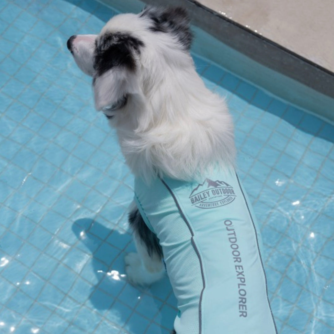 ※予約販売【Bailey】UV Cool Guard Sleveless（Mint）