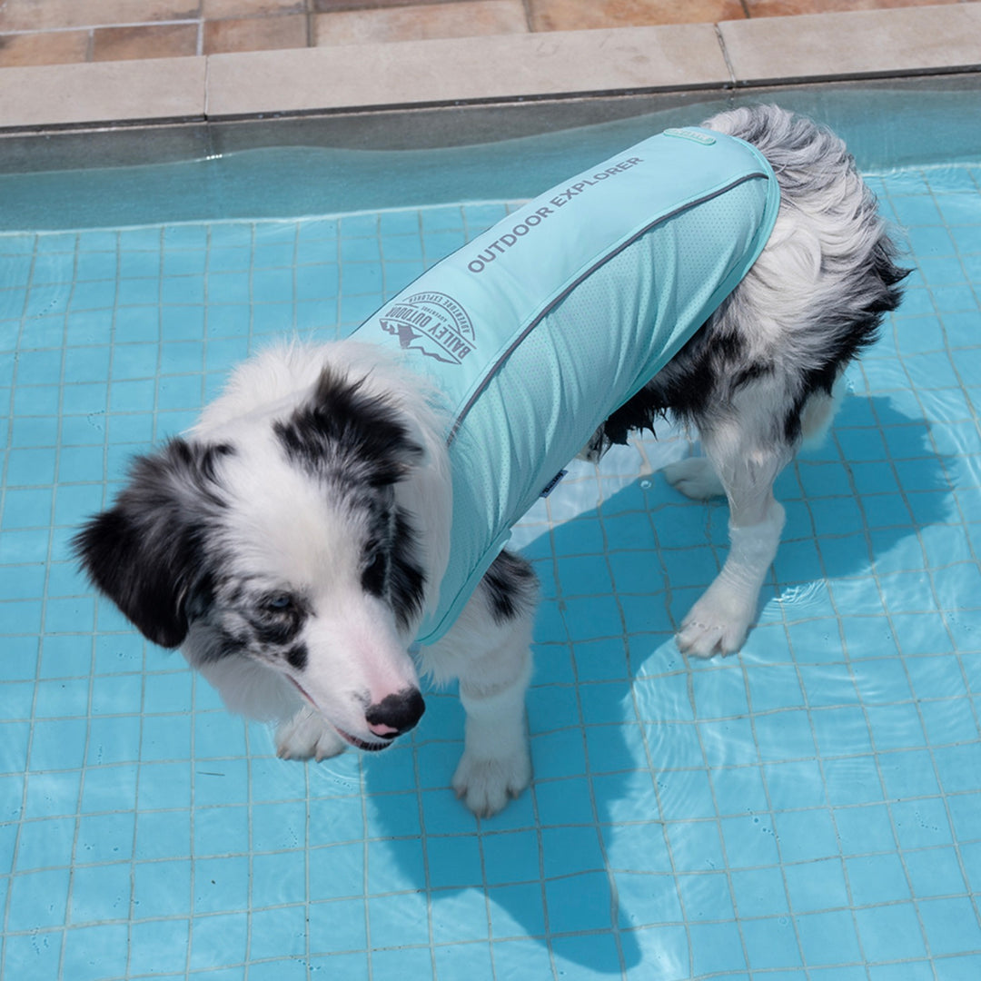 ※予約販売【Bailey】UV Cool Guard Sleveless（Mint）