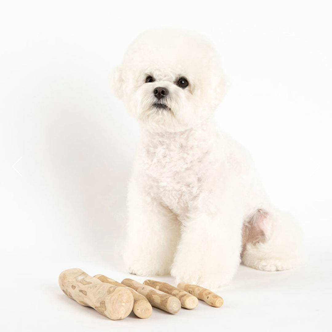 ※予約販売【Bailey】Starmungs Coffee Tree Chew