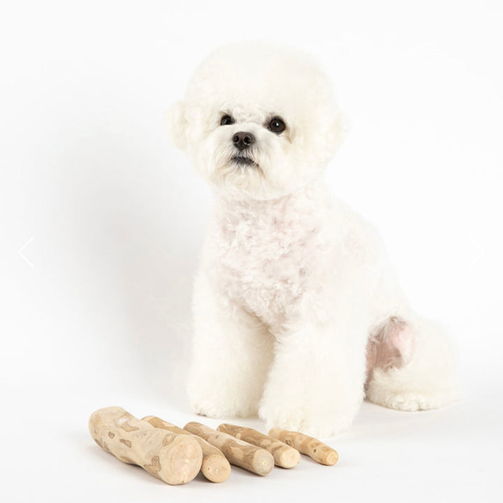 ※予約販売【Bailey】Starmungs Coffee Tree Chew