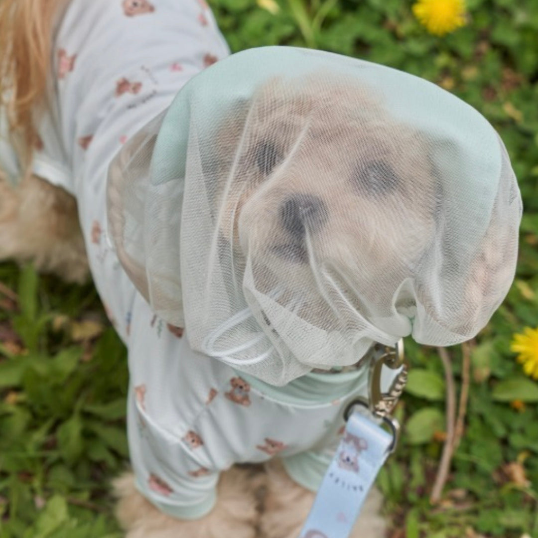 ※予約販売【Bailey】Air Shield Face Cover（4color）