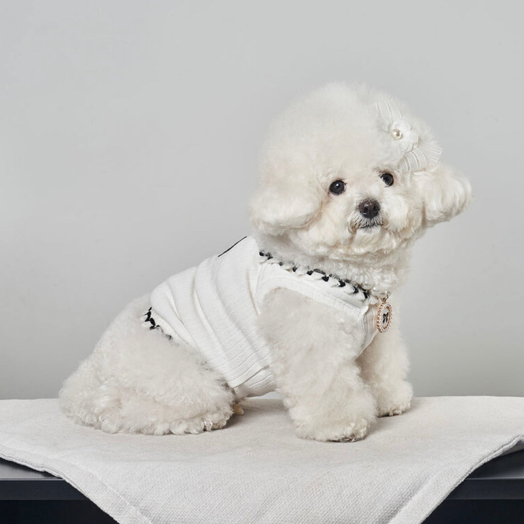 ※予約販売【Bailey】Coco Square（White）