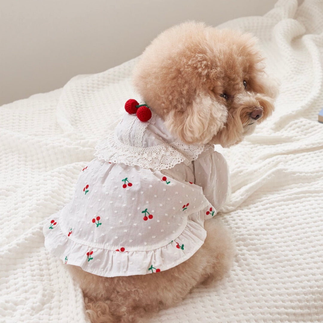 ※予約販売【Bailey】Cherry Coco Frill One Piece
