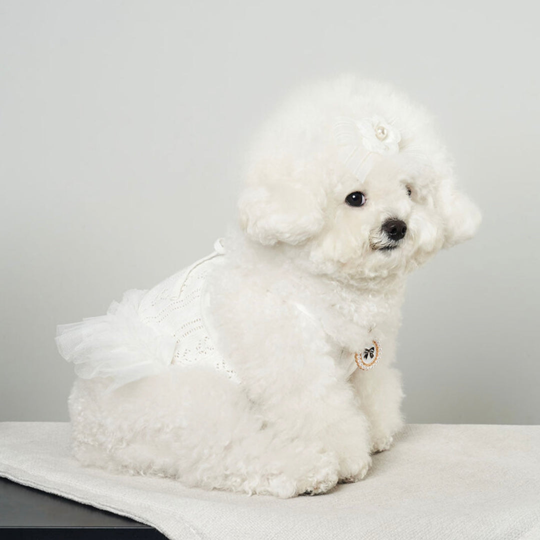 ※予約販売【Bailey】Blossom Tutu Crop One piece（White）