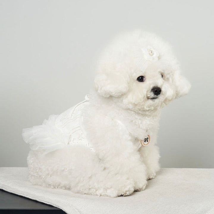 ※予約販売【Bailey】Blossom Tutu Crop One piece（White）