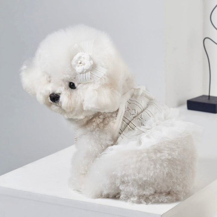 ※予約販売【Bailey】Blossom Tutu Crop One piece（White）