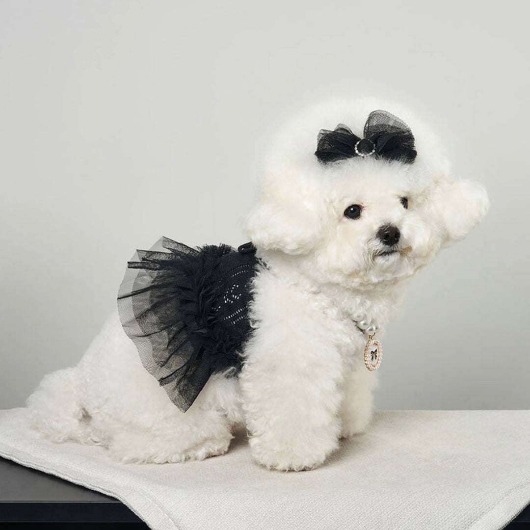※予約販売【Bailey】Blossom Tutu Crop One piece（Black）