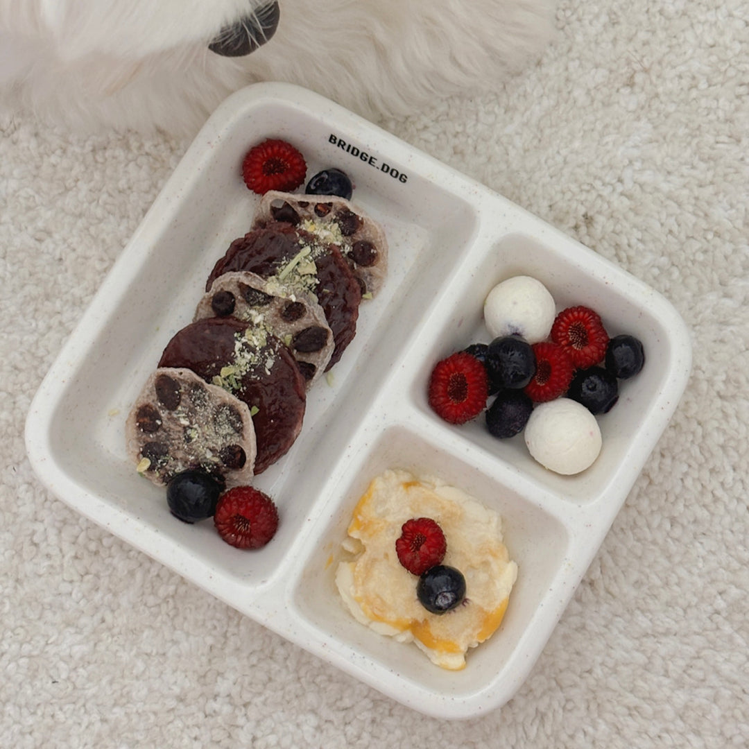 ※予約販売【BRIDGE.DOG】FOOD PLATE（BLUE）