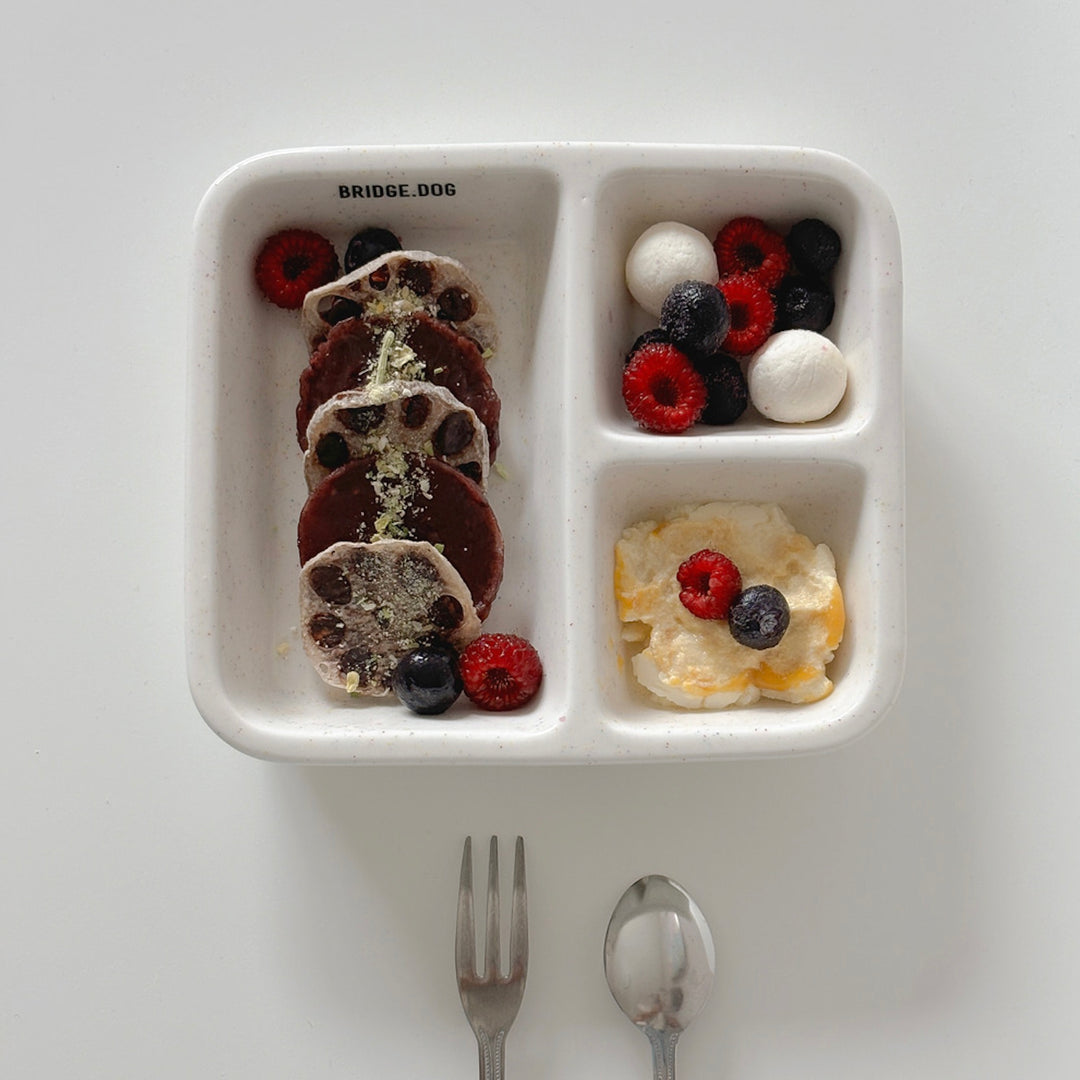 ※予約販売【BRIDGE.DOG】FOOD PLATE（PINK）