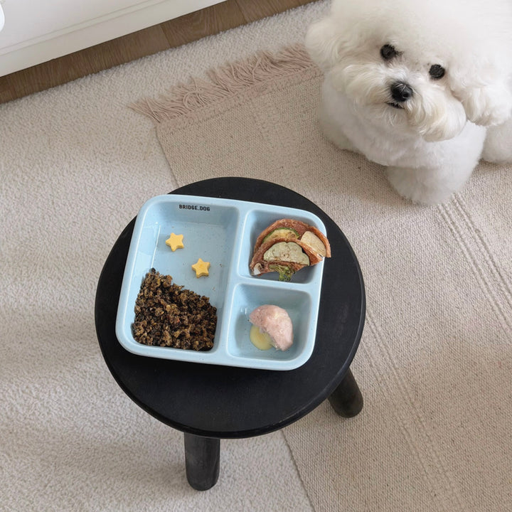 ※予約販売【BRIDGE.DOG】FOOD PLATE（PINK）