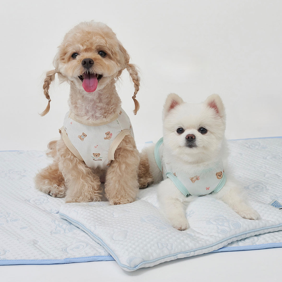 ※予約販売【Bailey】Snow Teddy Cooling Mat（4color）