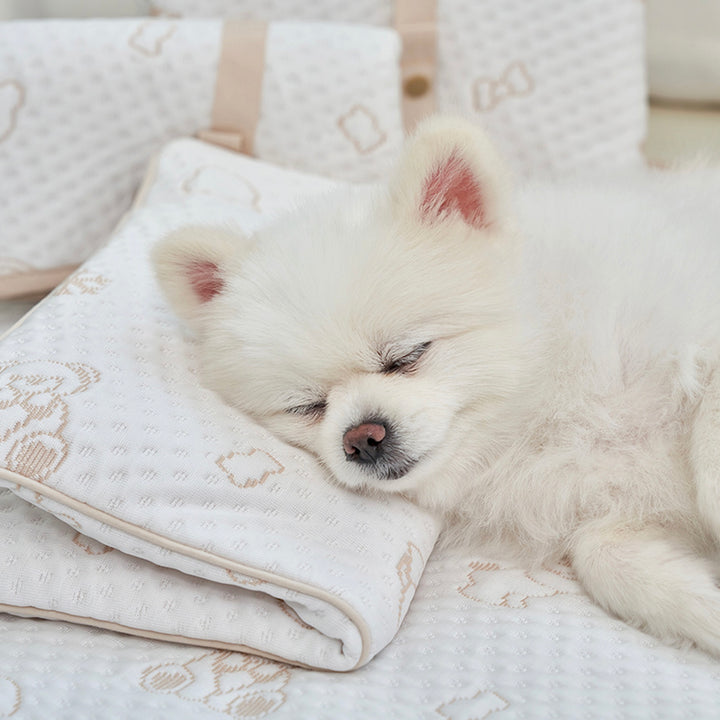 ※予約販売【Bailey】Snow Teddy Cooling Mat（4color）