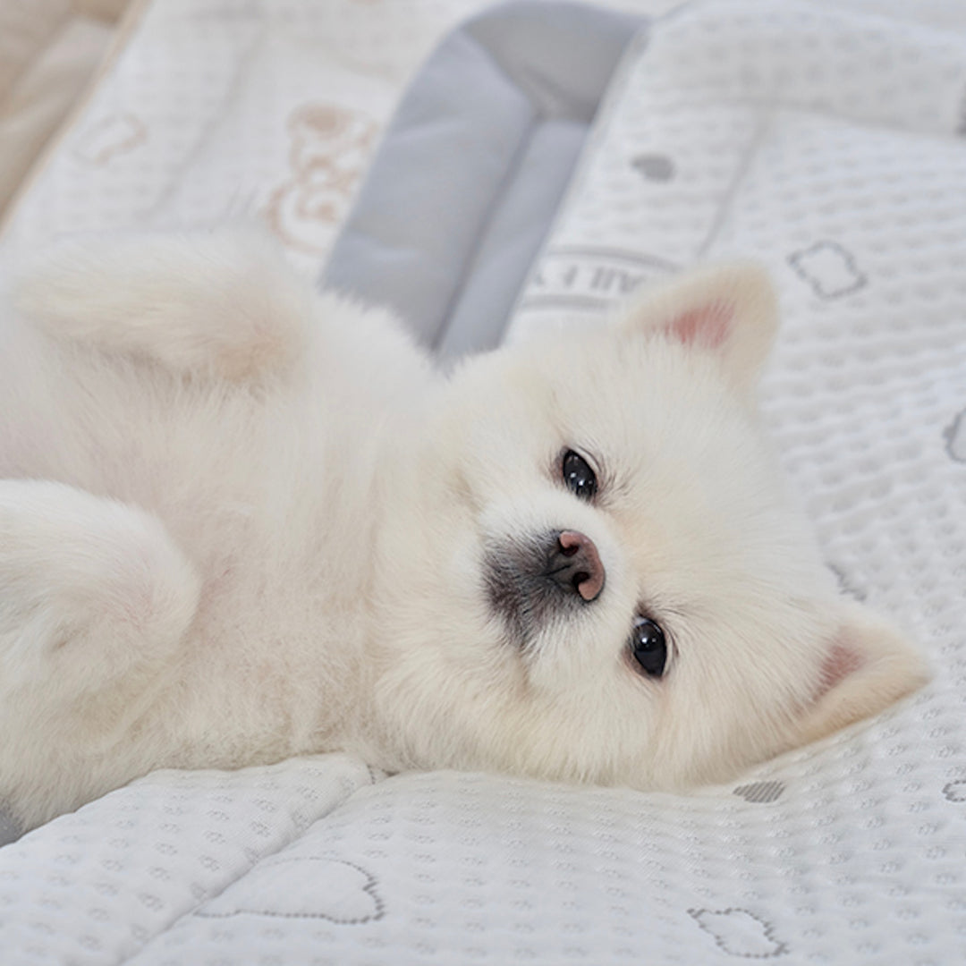 ※予約販売【Bailey】Snow Teddy Cooling Mat（4color）