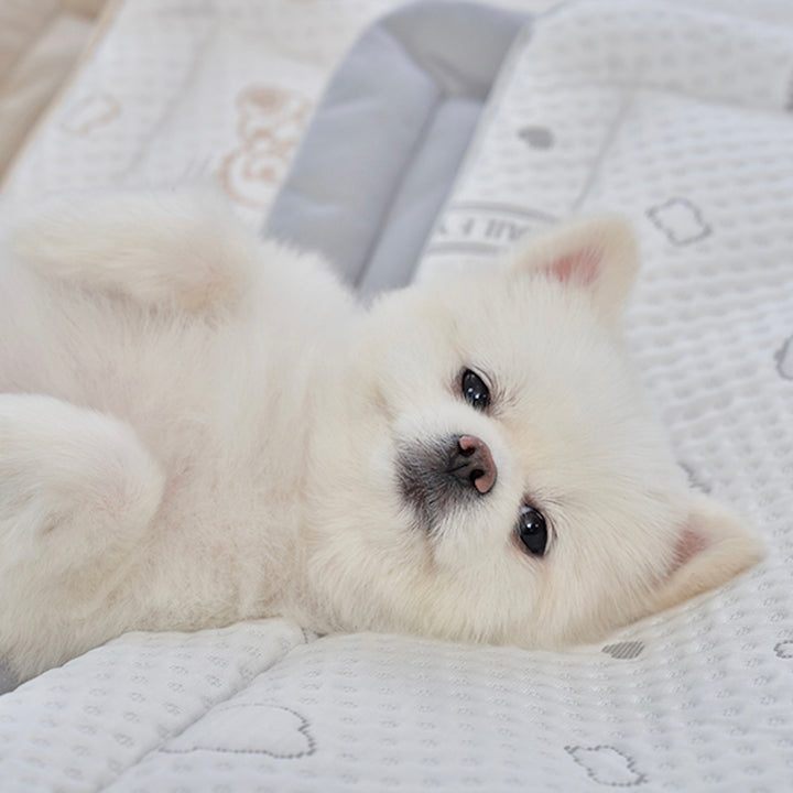 ※予約販売【Bailey】Snow Teddy Cooling Mat（4color）