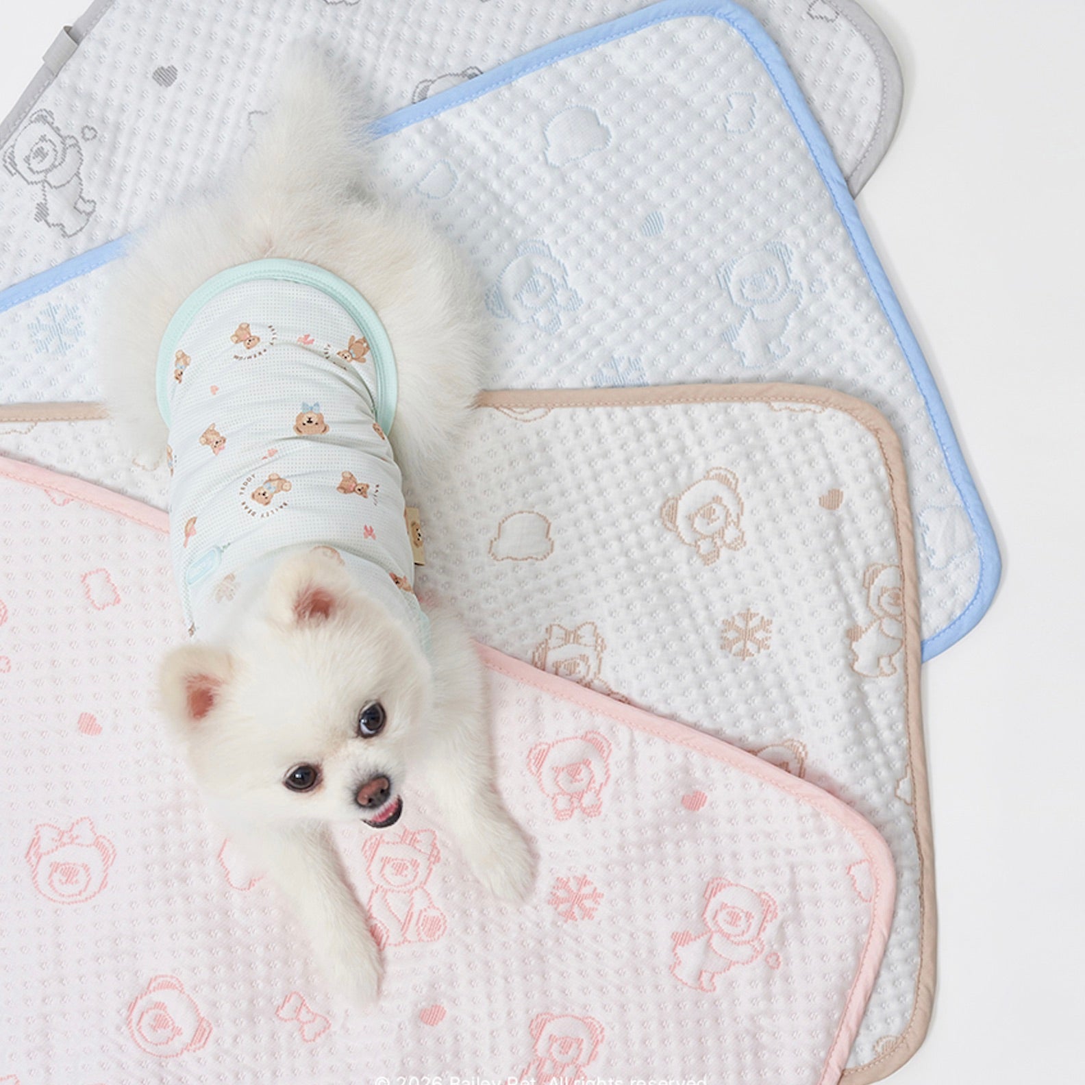 保冷/保温グッズ – URBAN DOG TOKYO