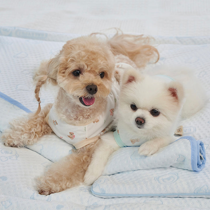 ※予約販売【Bailey】Snow Teddy Cooling Mat（4color）