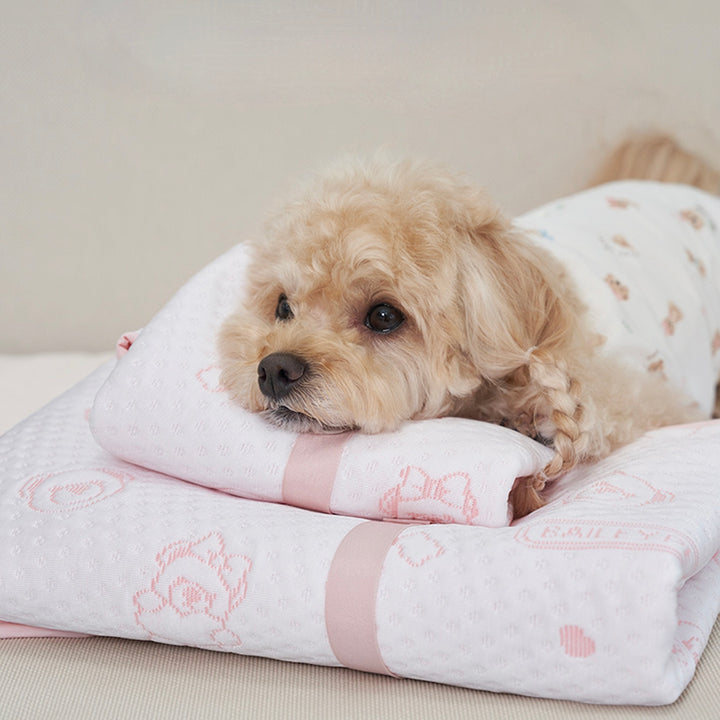 ※予約販売【Bailey】Snow Teddy Cooling Mat（4color）