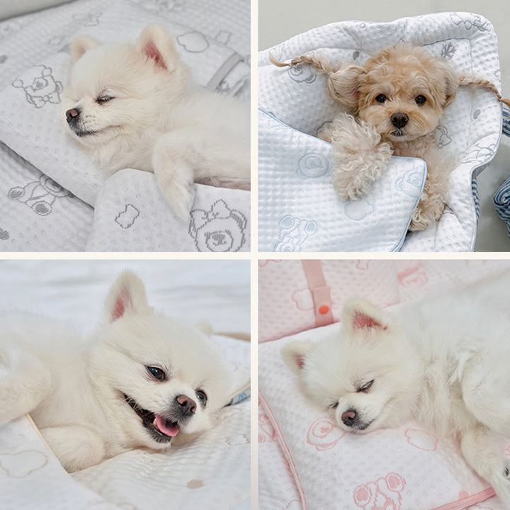 ※予約販売【Bailey】Snow Teddy Ice Pouch（4color）