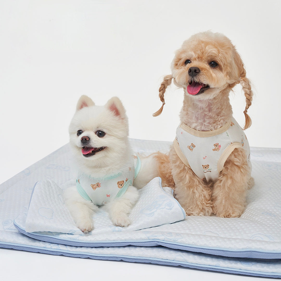 ※予約販売【Bailey】Snow Teddy Ice Pouch（4color）