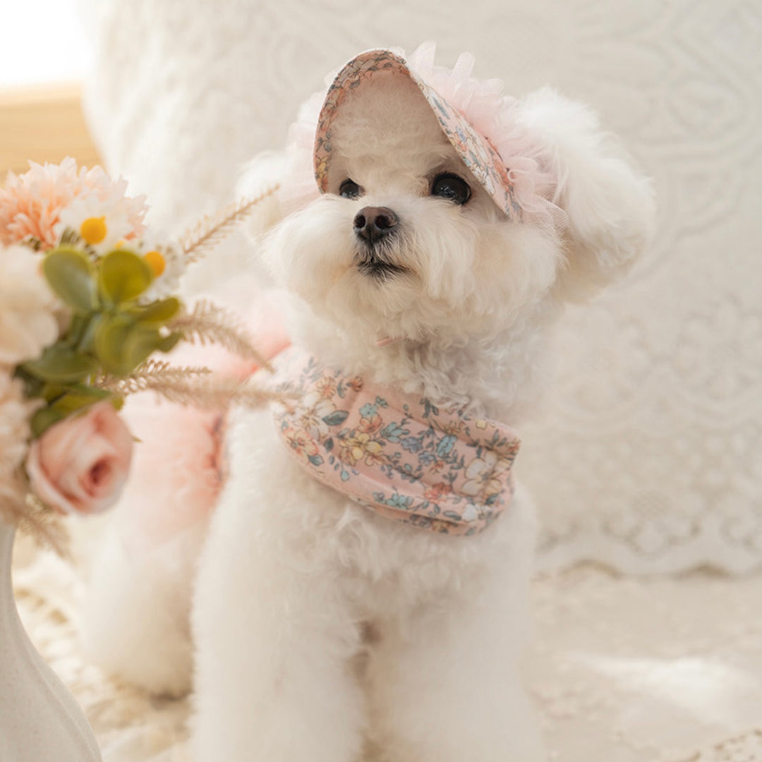 ※予約販売【Bailey】Evelyn Flower Harness - Leash set（Khaki）｜犬用ハーネス