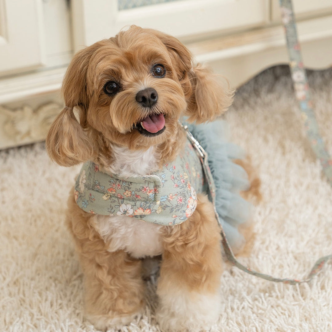 ※予約販売【Bailey】Evelyn Flower Harness - Leash set（Khaki）｜犬用ハーネス