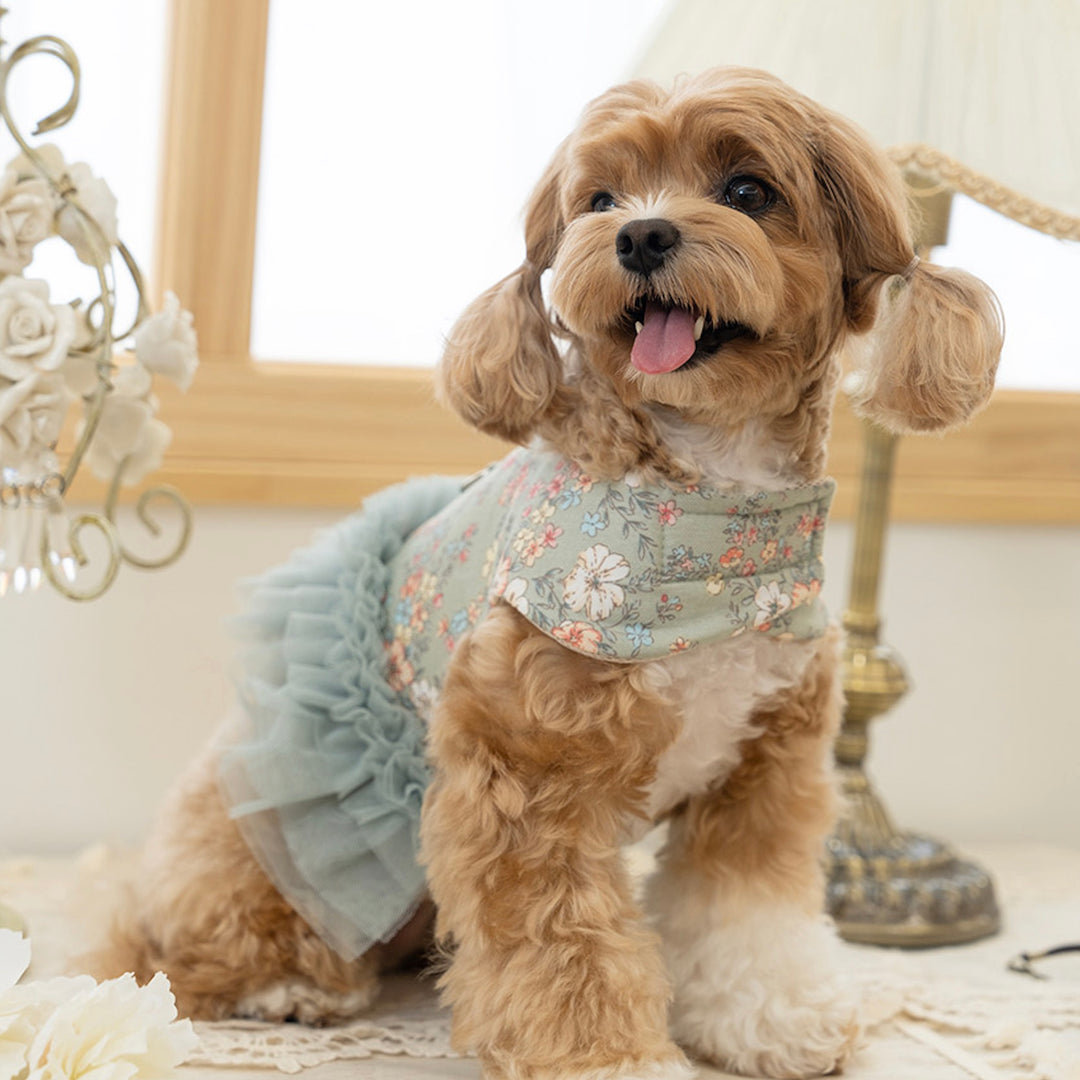 ※予約販売【Bailey】Evelyn Flower Harness - Leash set（Khaki）｜犬用ハーネス