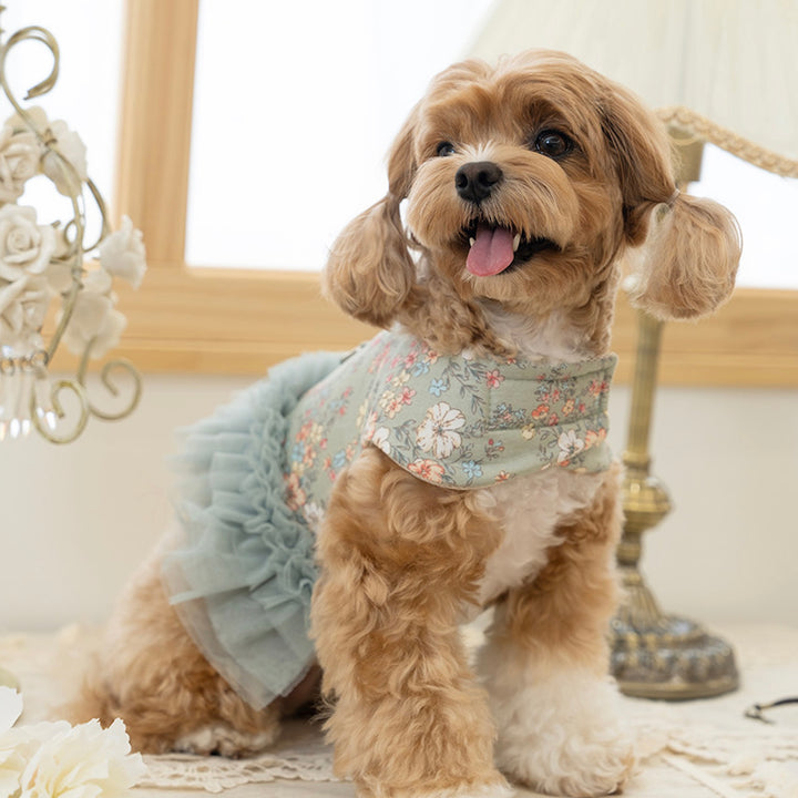※予約販売【Bailey】Evelyn Flower Harness - Leash set（Khaki）｜犬用ハーネス