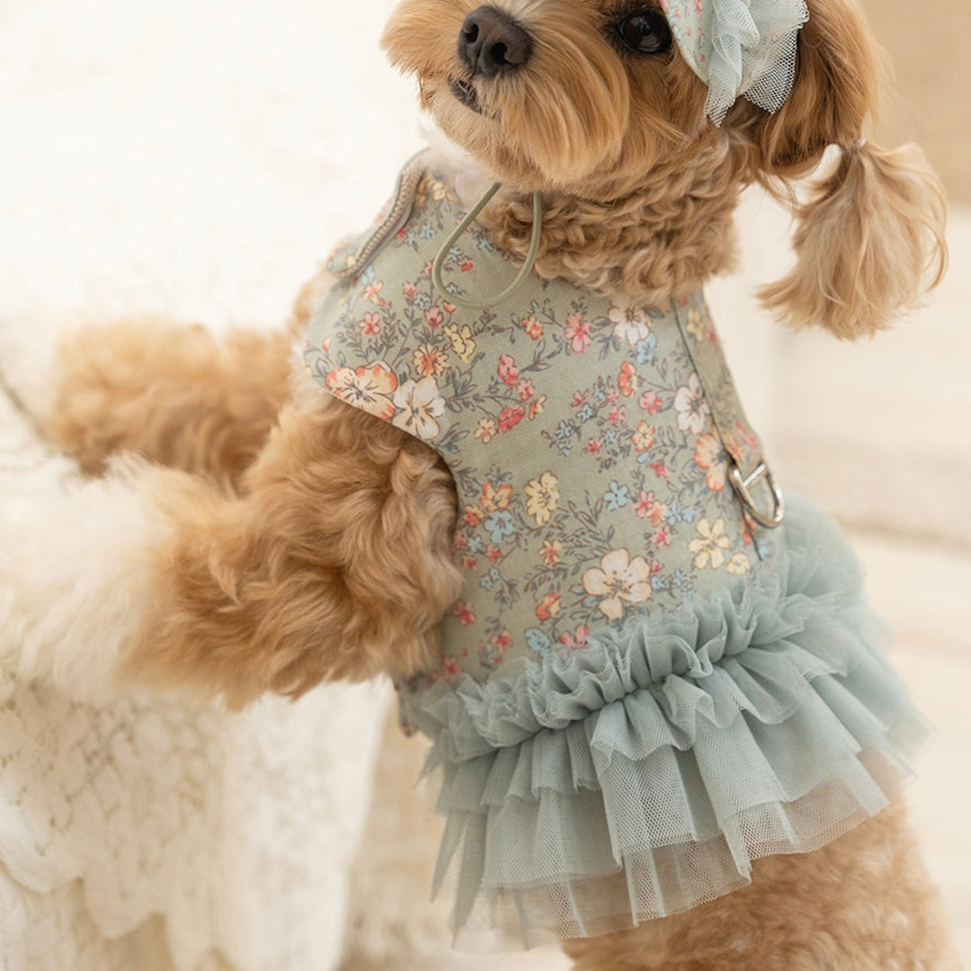 ※予約販売【Bailey】Evelyn Flower Harness - Leash set（Khaki）｜犬用ハーネス