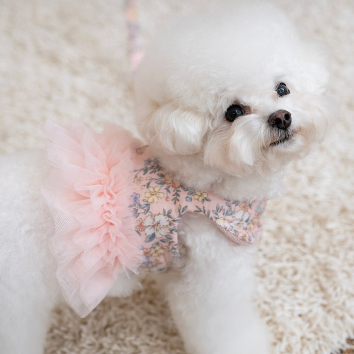 ※予約販売【Bailey】Evelyn Flower Harness - Leash set（Khaki）｜犬用ハーネス