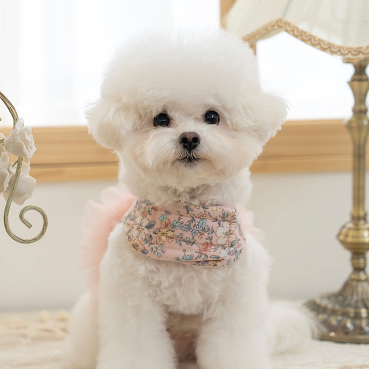 ※予約販売【Bailey】Evelyn Flower Harness - Leash set（Khaki）｜犬用ハーネス