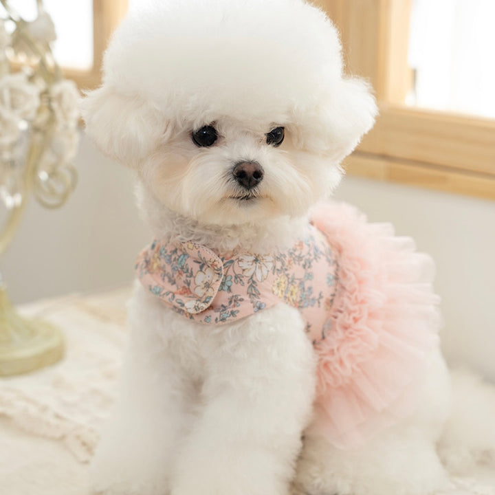 ※予約販売【Bailey】Evelyn Flower Harness - Leash set（Khaki）｜犬用ハーネス