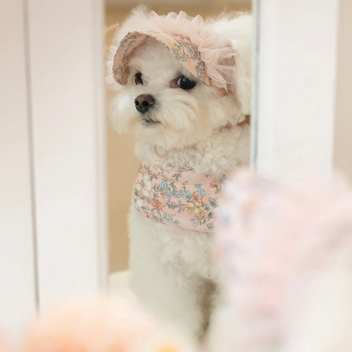 ※予約販売【Bailey】Evelyn Flower Harness - Leash set（Khaki）｜犬用ハーネス