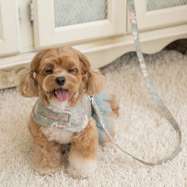 ※予約販売【Bailey】Evelyn Flower Harness - Leash set（Khaki）｜犬用ハーネス