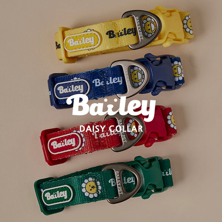 ※予約販売【Bailey】Daisy Walkie Collar（4color）