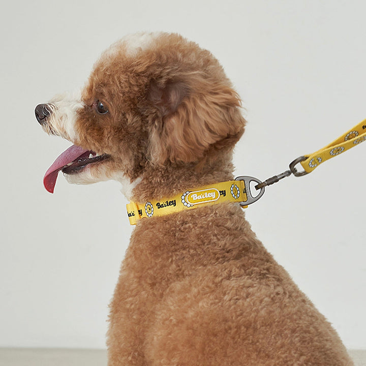 ※予約販売【Bailey】Daisy Walkie Collar（4color）