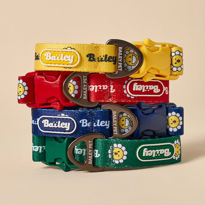 ※予約販売【Bailey】Daisy Walkie Collar（4color）