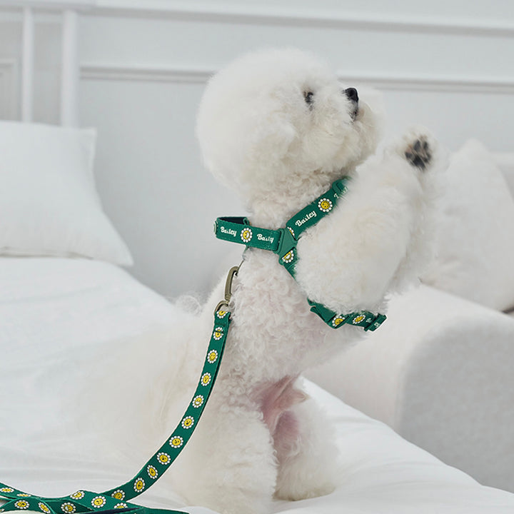 ※予約販売【Bailey】Daisy Walkie Harness（4color）