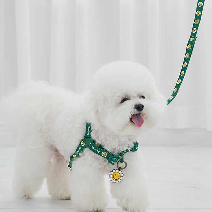 ※予約販売【Bailey】Daisy Walkie Harness（4color）