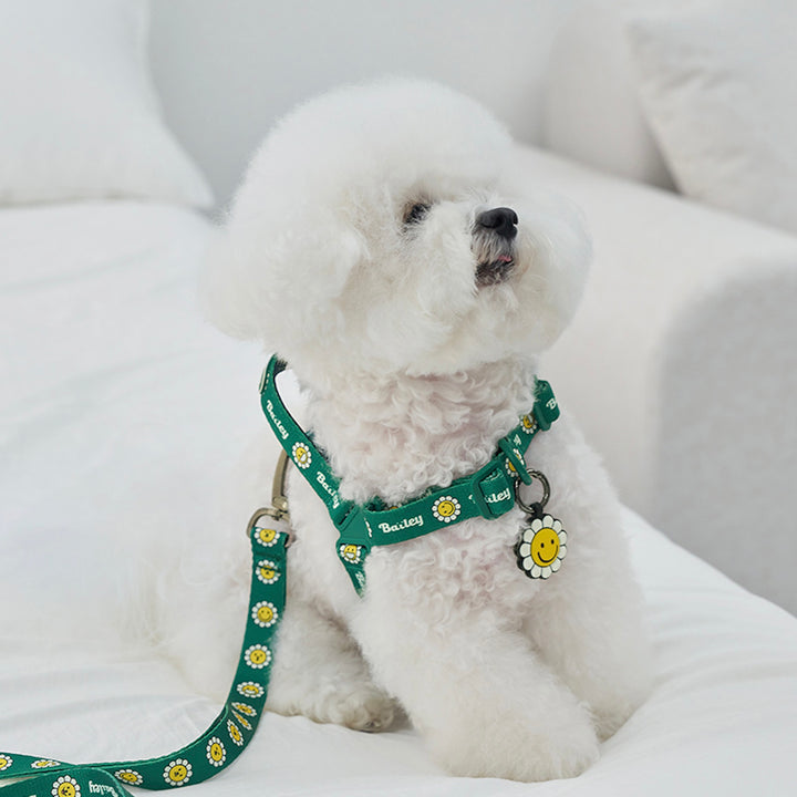 ※予約販売【Bailey】Daisy Walkie Harness（4color）