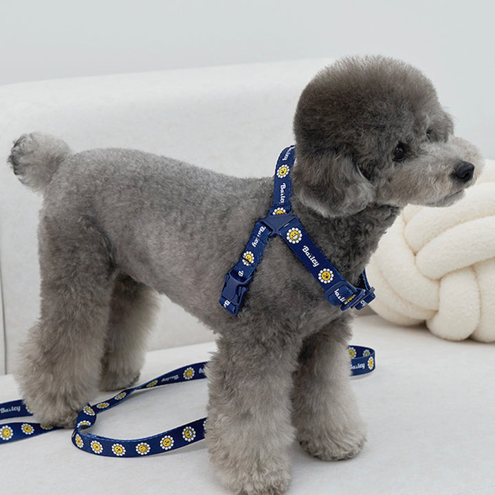 ※予約販売【Bailey】Daisy Walkie Harness（4color）