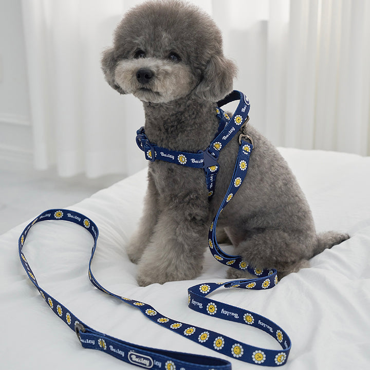 ※予約販売【Bailey】Daisy Walkie Harness（4color）