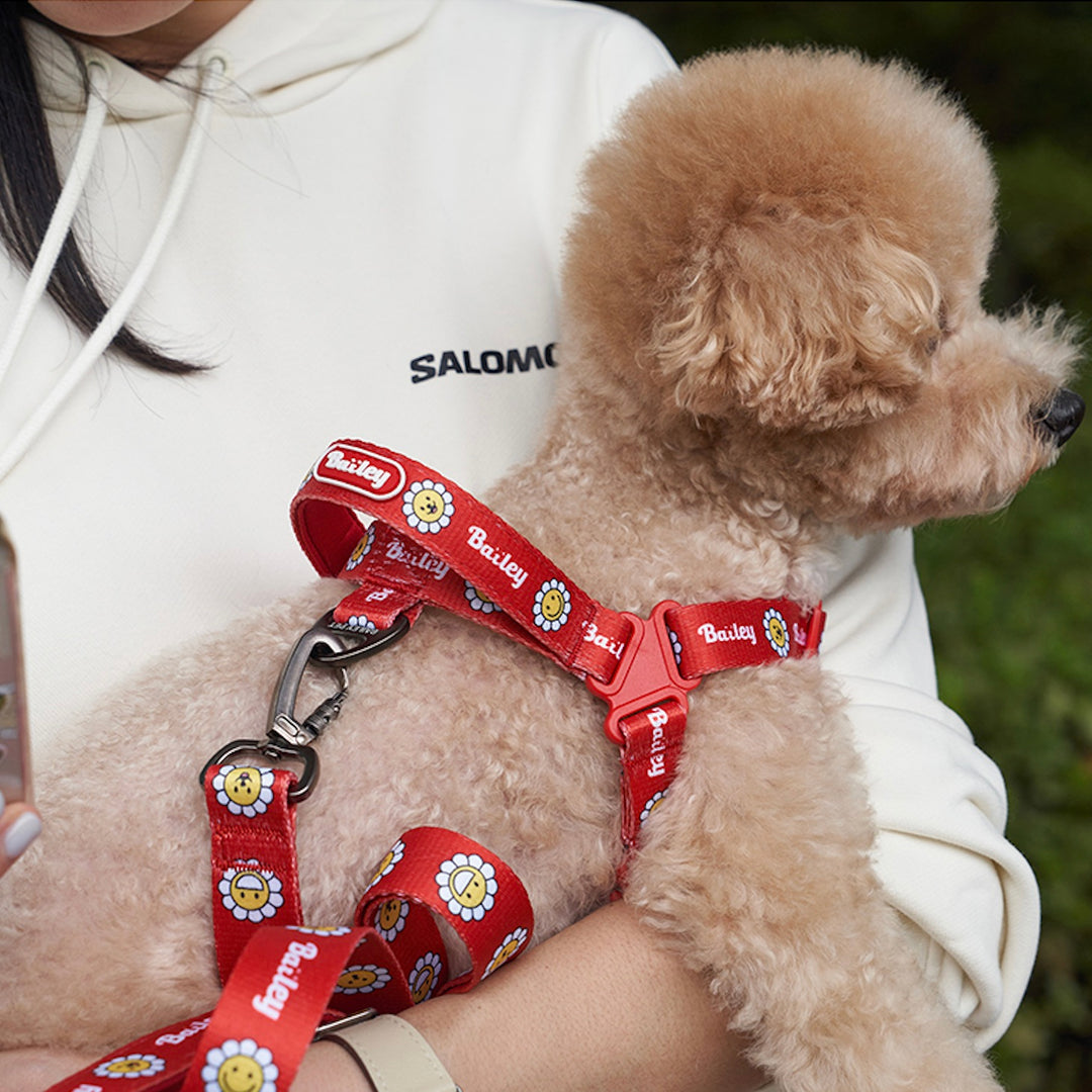 ※予約販売【Bailey】Daisy Walkie Harness（4color）