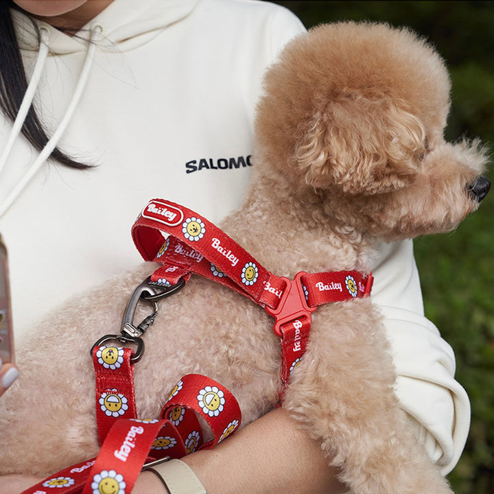 ※予約販売【Bailey】Daisy Walkie Harness（4color）