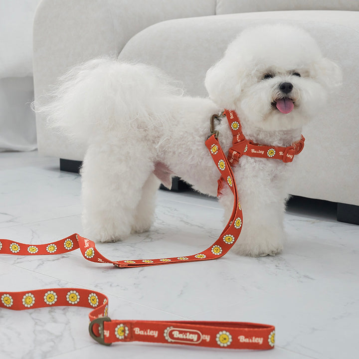 ※予約販売【Bailey】Daisy Walkie Harness（4color）