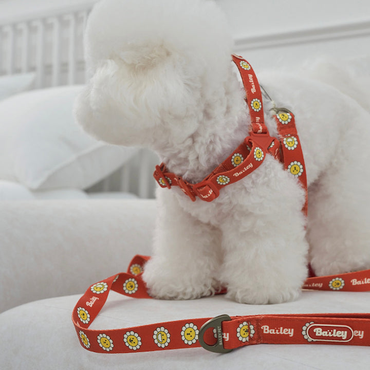 ※予約販売【Bailey】Daisy Walkie Harness（4color）