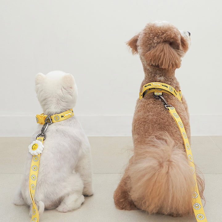 ※予約販売【Bailey】Daisy Walkie Harness（4color）