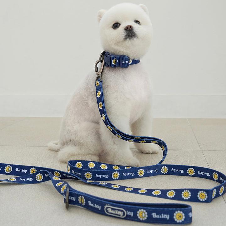 ※予約販売【Bailey】Daisy Walkie Leash（4color）